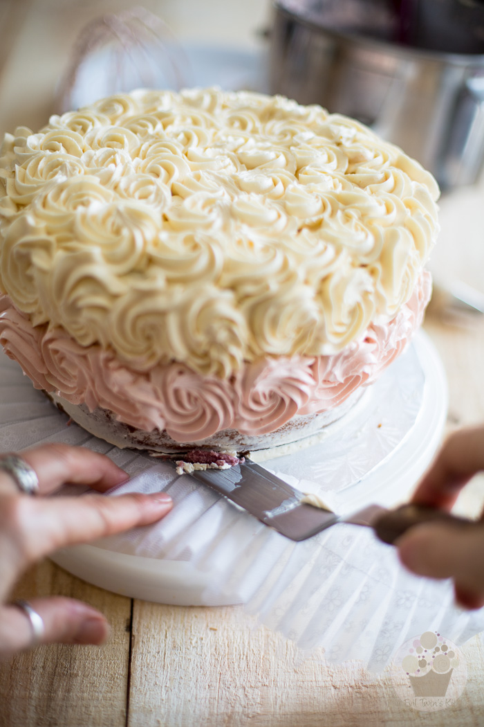 Lemon Raspberry Ombre Cake | eviltwin.kitchen