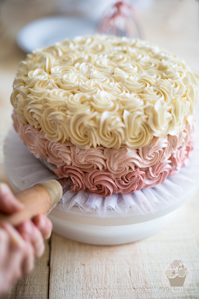 Lemon Raspberry Ombre Cake | eviltwin.kitchen