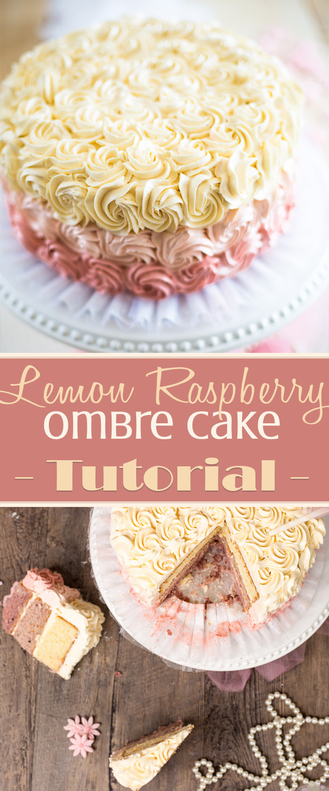 Lemon Raspberry Ombre Cake | eviltwin.kitchen