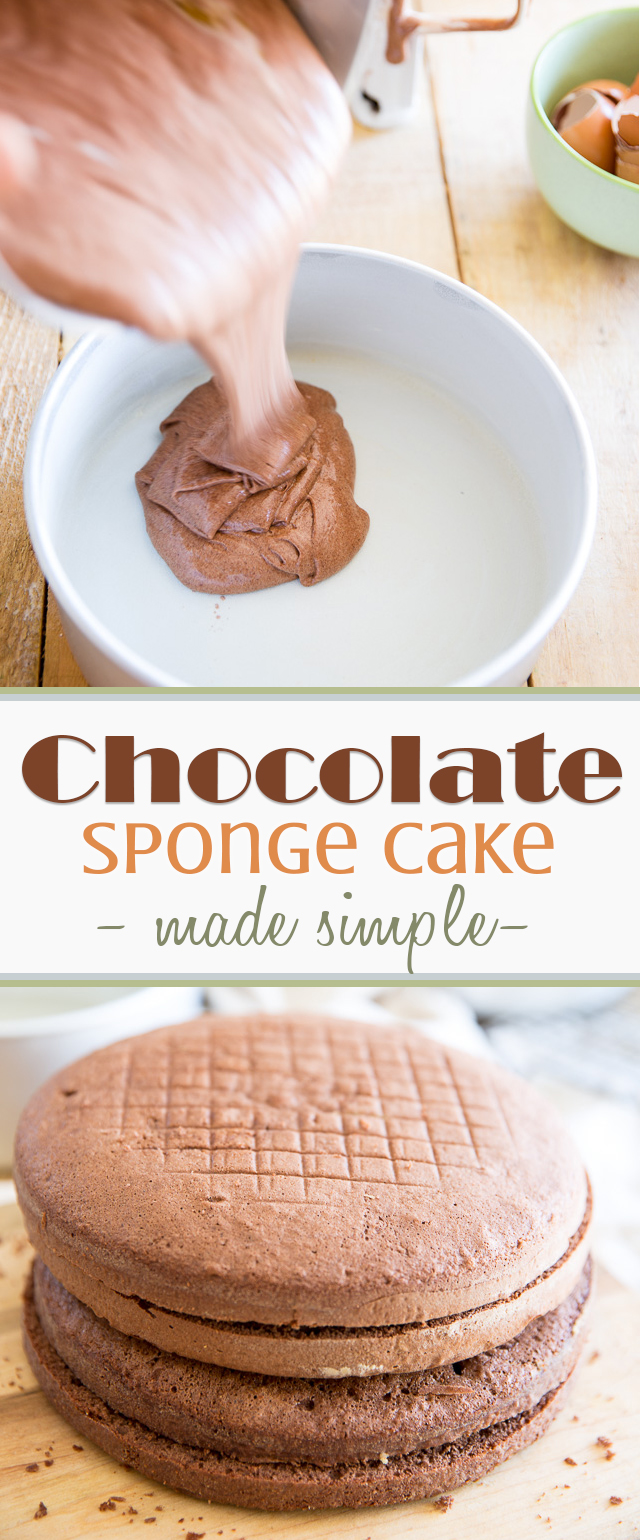Chocolate Sponge Cake | eviltwin.kitchen