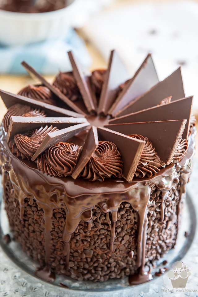 Double Chocolate Tree Stump Cake with Sugared Cranberries • A Simple Pantry