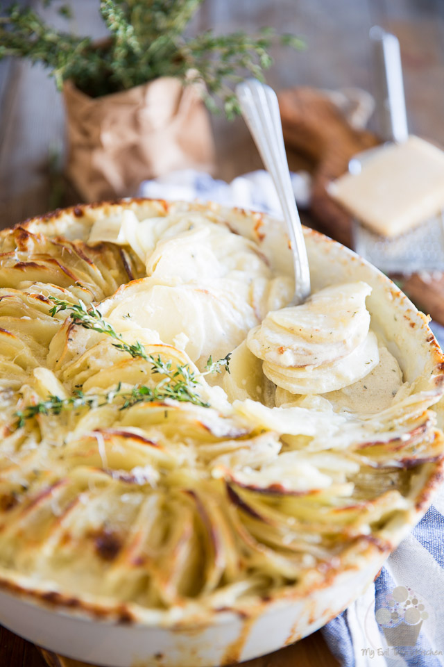 Creamy, dreamy, melt-in-your-mouth Scalloped Potatoes made super elegant thanks to a simple twist. Perfect for any occasion, they are guaranteed to please!