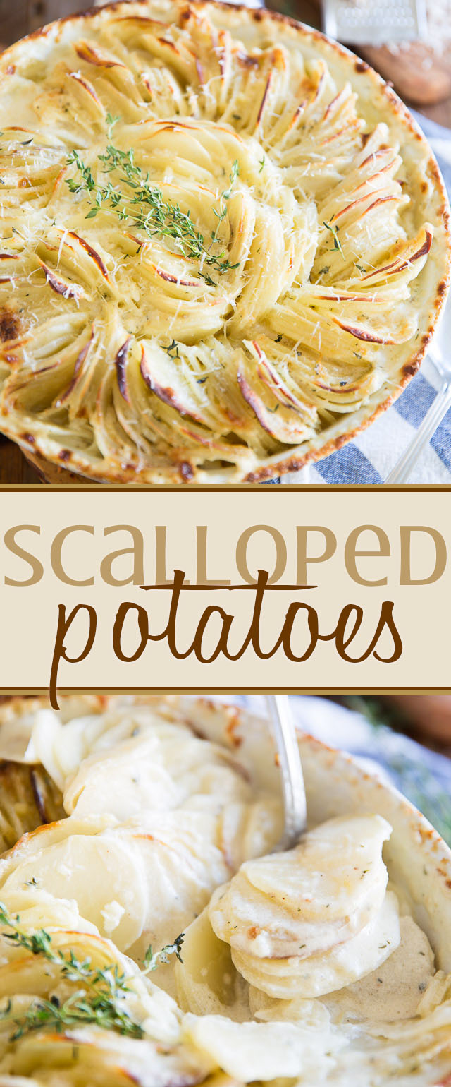 Creamy, dreamy, melt-in-your-mouth Scalloped Potatoes made super elegant thanks to a simple twist. Perfect for any occasion, they are guaranteed to please! 