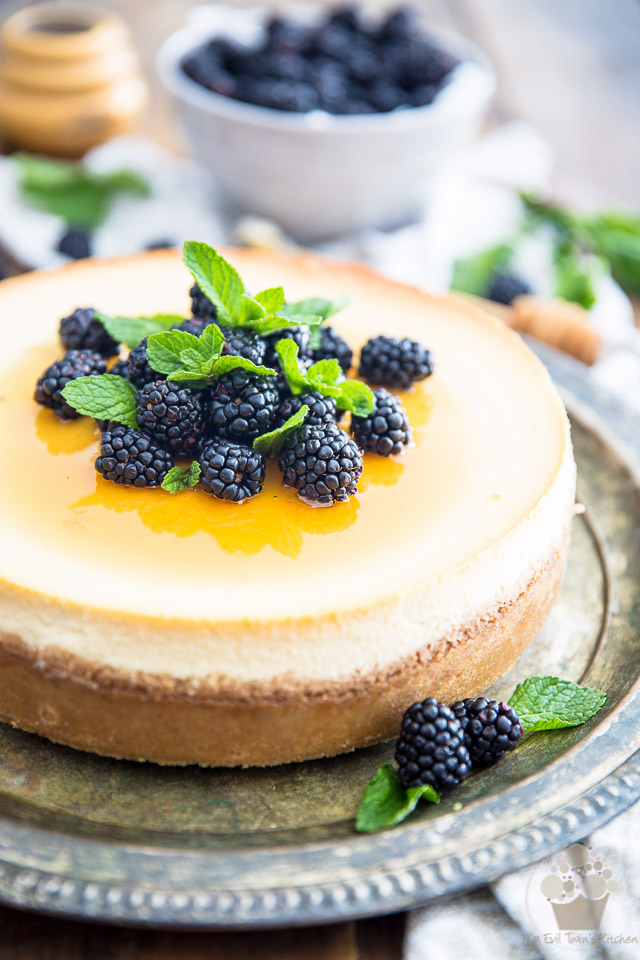 Intriguing to say the least, the flavor combination of this Honey Goat Cheese Cheesecake is nothing short of spectacular. Will you dare give it a try? 