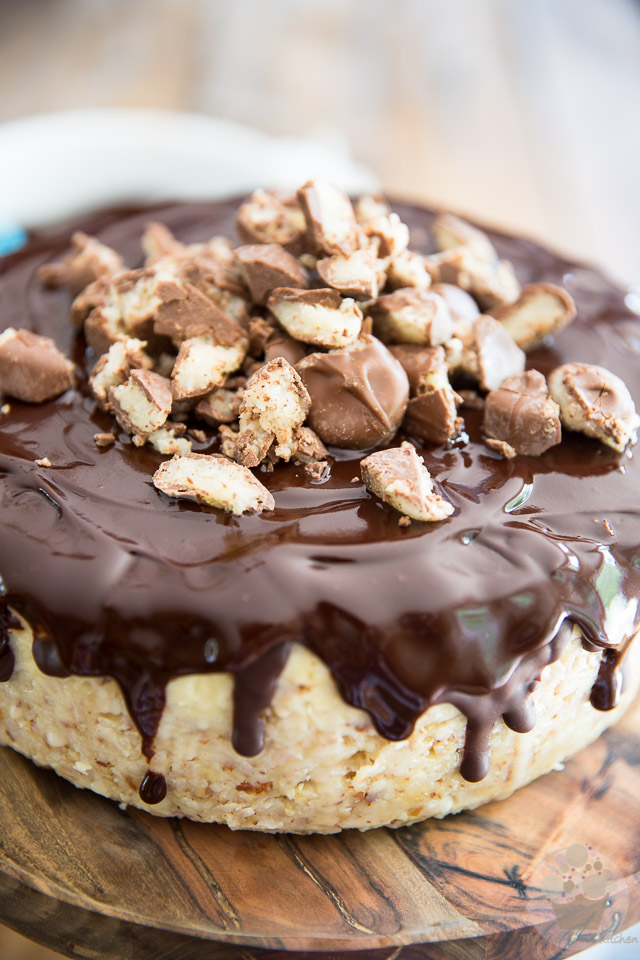 Almond Joy Cheesecake by My Evil Twin's Kitchen | Recipe and step-by-step instructions on eviltwin.kitchen